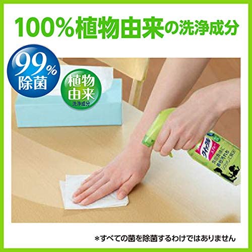 Kao Multi-Purpose Fridge And Table Spray Cleaner Refill 250ml (Green Tea)