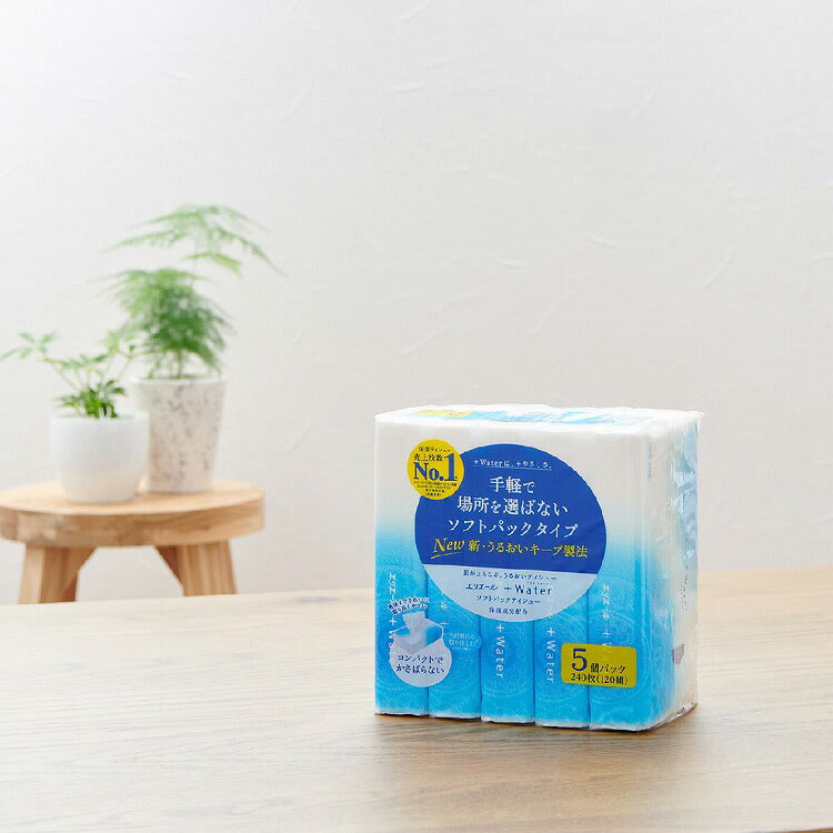 Japan GOO.N Super Soft Moisturizing Tissues（120pcs*5 Pack)